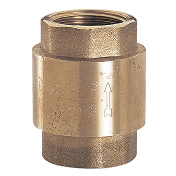 Клапан обратный пружинный 1" - F.I.V.