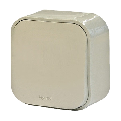 Переключатель одноклавишный - Quteo - слоновая кость