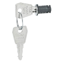 Замок и ключ - для щитов встраиваемых и распределительных