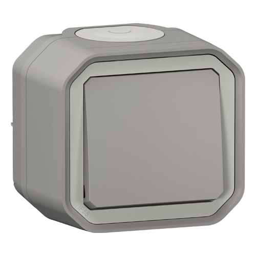 Переключатель одноклавишный - Plexo IP55 - серый