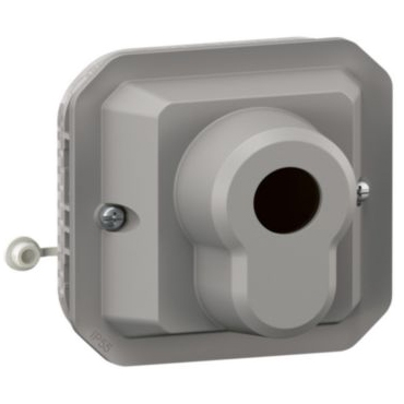 Выключатель с ключом - Plexo IP55 - серый