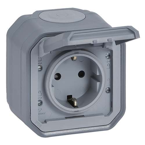 Розетка 2К+З с винтовыми зажимами - Plexo IP55 - серый