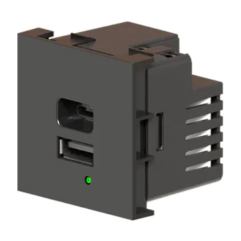 Двойная розетка USB A+C тип 4,2A/21W - 2 модуля - JSL - черный
