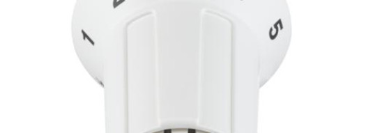 Термостатическая головка - RAS-C 5041