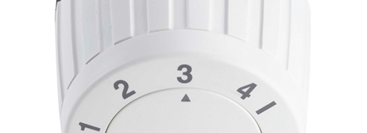 Ограничитель температуры обратной воды - FJVR 10-50°C