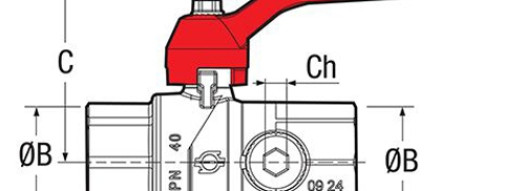 Кран шаровой со сливом и внутренней резьбой 1'' - F.I.V.