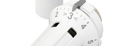 Термостатиеская головка - RAW-K 5032