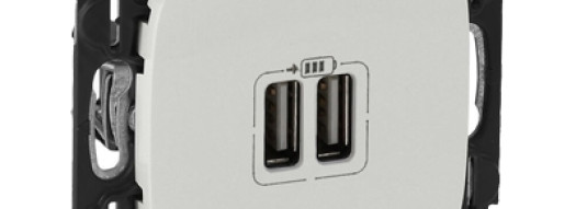 Зарядное устройство USB Type A+A - Valena Allure - жемчуг