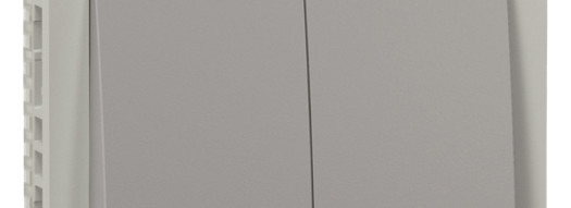 Переключатель двухклавишный - Plexo IP55 - серый