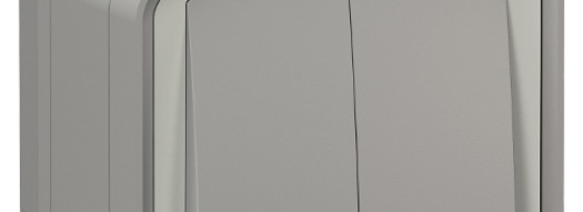 Переключатель двухклавишный - Plexo IP55 - серый